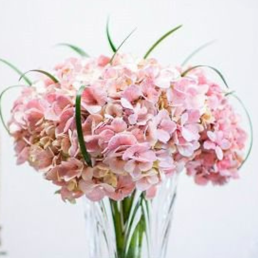 Ramo de Hortensias