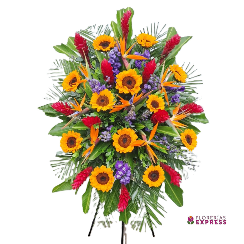 Arreglo Institucional 1 - Alt. 1.50 mt