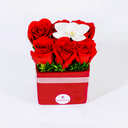 Cubo Coquette: Flor de orquídea + 6 rosas.