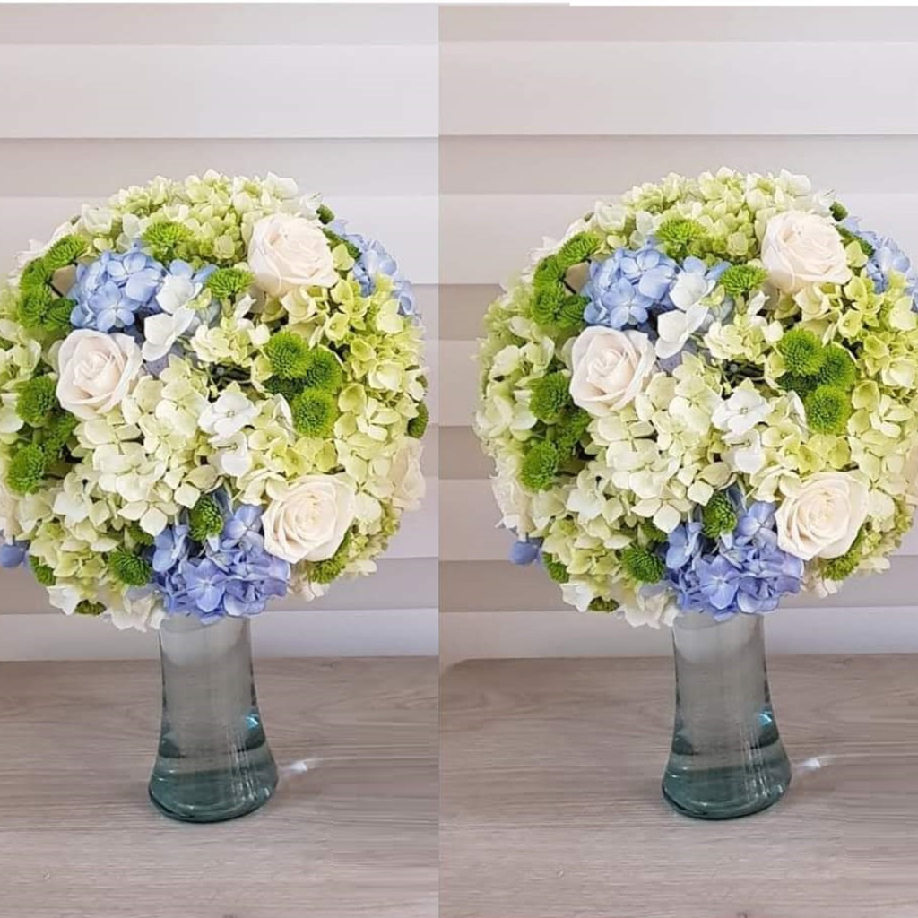 Pack de Topiarios Cielo