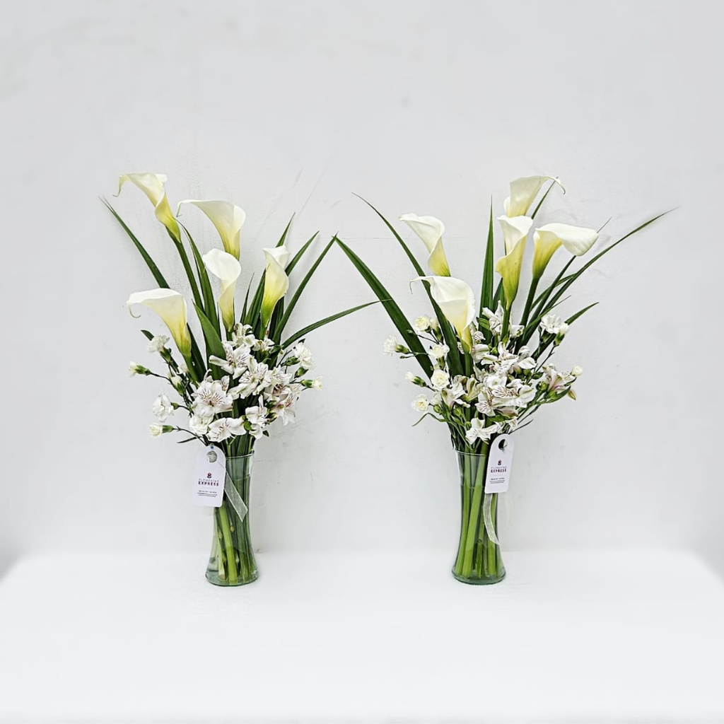 Pack de floreros de Calas