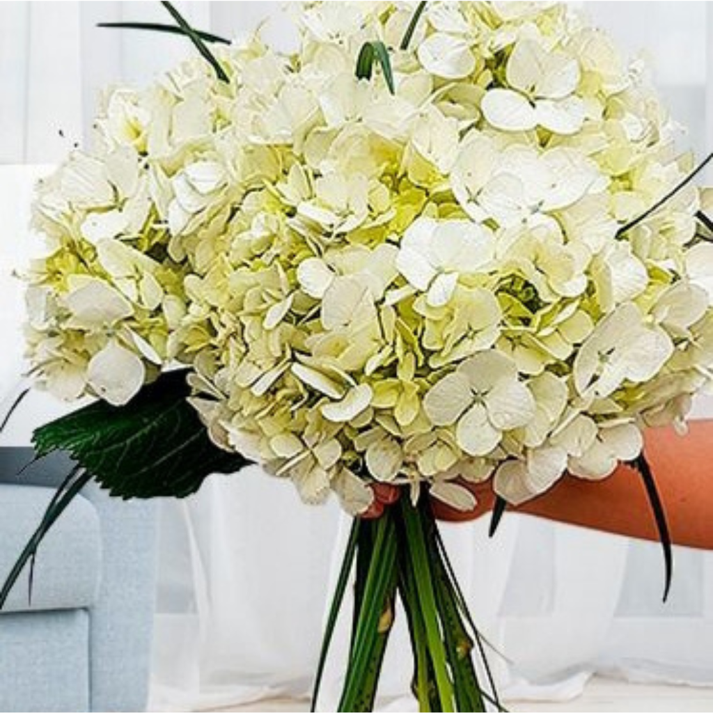 Ramo de Hortensias