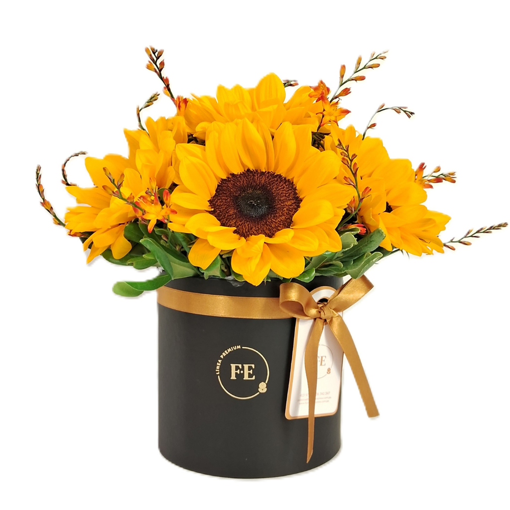 F1 - Box de Girasoles - Full