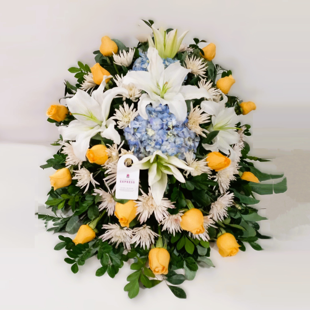 Suscripción paquete de 4