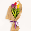 Bouquet de 5 Tulips